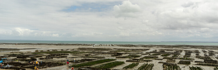 Fototapeta na wymiar Cancale oysters town low tide