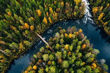 Aerial view of fast river flow through the rocks and colorful forest. Autumn in Finland