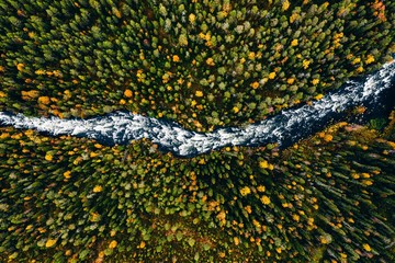 Aerial view of fast river flow through the rocks and colorful forest. Autumn in Finland