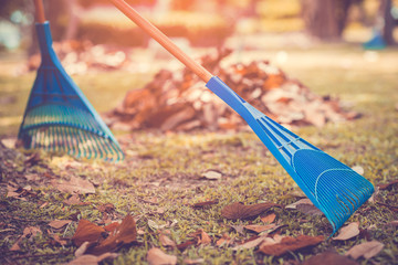 Pile of fall leaves with fan rake on public park.