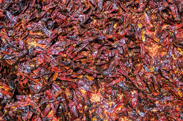Close-up of one hundred dried red chili with yellow seeds scattered on the selo with sunlight reflected in a market in Ethiopia. Food travel concept.