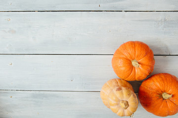 Orange pumpkins on white wooden background. Thanksgiving and Halloween concept. View from above. Top view. Copy space for text and design