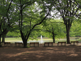 公園とベンチと噴水
