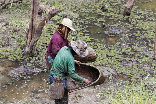 Trabajadora en el rio