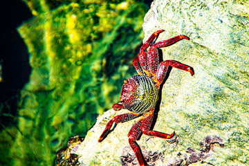 Naturaleza y playas del Norte de Tenerife, Anaga