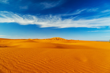 Sand Dunes of the Sahara Desert.