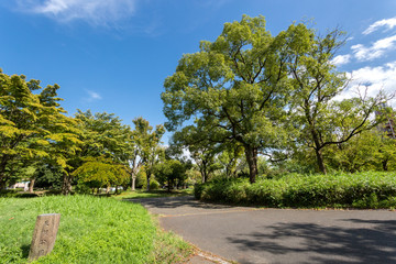 反町公園（横浜市神奈川区）