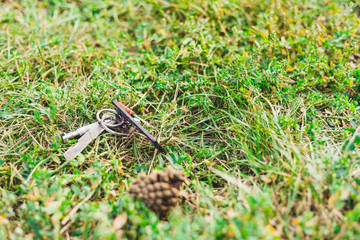 Pair of lost keys in the grass