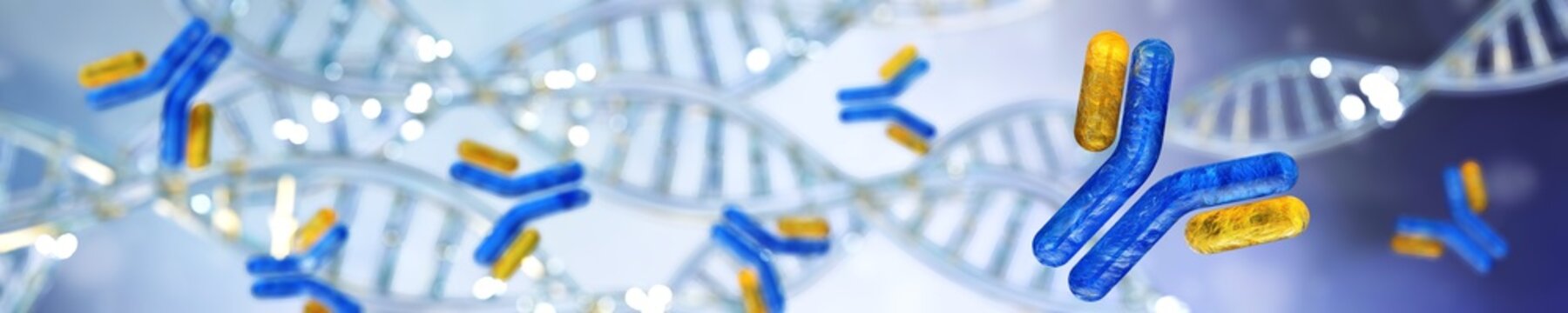 Panorama of antibodies. immunoglobulins against the background of DNA. 3d rendering.