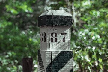 Quarter pillar. Striped quarterly pillar in the forest