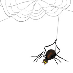 quadratische Karte mit Spinne rechts ausgerichtet vom Netz hängend mit Freifläche