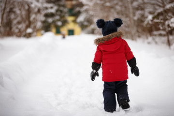 Fototapeta na wymiar A little boy in a red down jacket walks through a snowy forest. Walk in the fresh air on a winter day. Lifestyle concept
