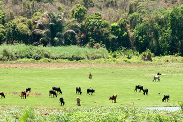 Parc National d'Ankarafantsika, Lac d'Ampijoroa, Madagascar