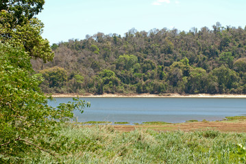 Fototapeta na wymiar Parc National d'Ankarafantsika, Lac d'Ampijoroa, Madagascar