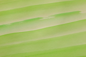 abstract green background with watercolor pattern