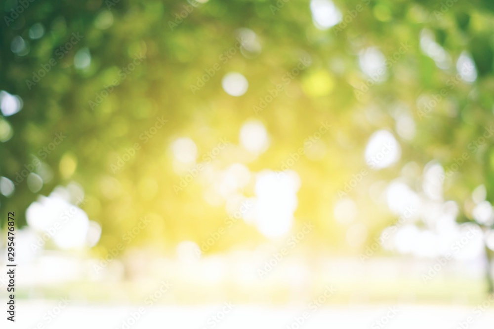 Wall mural abstract nature bokeh background with light leak from the top.