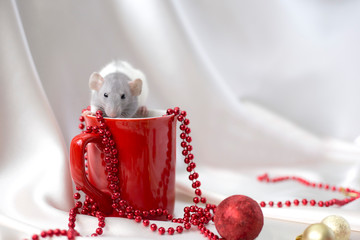 A white rat sits on top of a red cup on a white satin background. Symbol of the year 2020. Year of the rat. Greeting card. Place for text