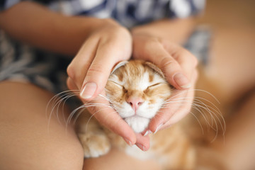 Cat lies on the legs of a young woman