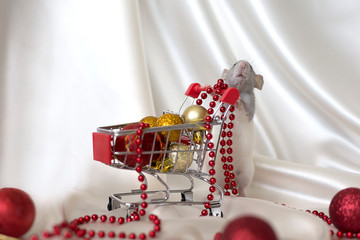 White rat wheels a shopping trolley with Christmas balls. Year of the rat. Rat symbol of the year 2020