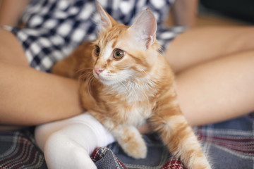 Cat lies on the legs of a young woman