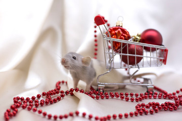 New Year 2020. White rat near shopping trolley with red Christmas balls on a white background. Rat symbol of the year