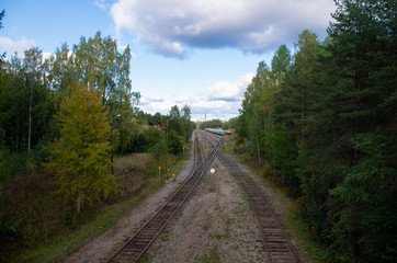 Fototapeta na wymiar railroad in the forest