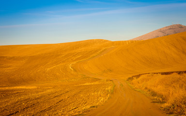 cultivated field in rural Washington