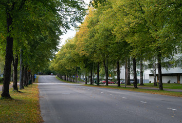 Obraz premium street in the town