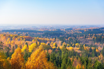 Beautiful autumn colors at a forest and the horizon