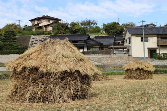 藁塚