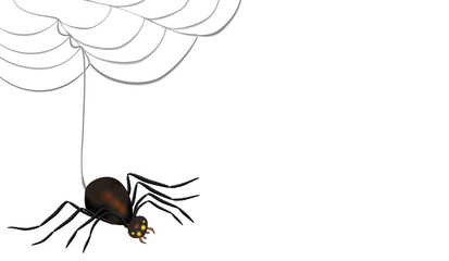 Spinne mit leuchtenden Augen links ausgerichtet vom Netz hängend mit Textfreifläche