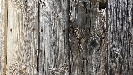 Deteriorated wooden door from an uninhabited village of Yesa in Navarre