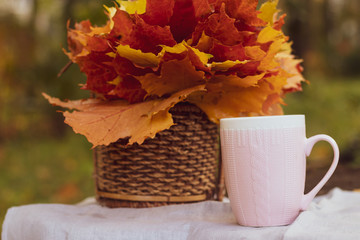autumn tea party. cup with tea and maple leaves. Maple leaves in a basket.