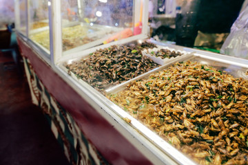 Street Food at Night Market in Thailand. Deep Fried Insects