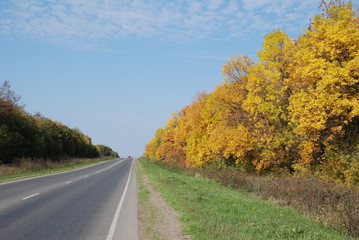 autumn road