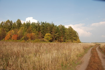 Obraz premium rural road