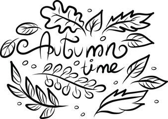 Obraz premium Lettering Autumn time on white background. Vector illustration. Perfect for postcard, greeting card, print.