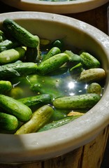 Half sour cucumber pickles in brine in a barrel