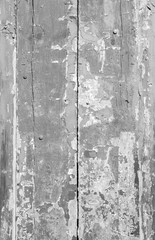 High resolution full frame background in black and white of a weathered and faded wooden wall, door or wood panelling, paint peeled off.
