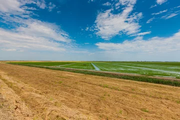 Fototapete Rund Naturpark The natural park of Po delta in Italy  © Maurizio Sartoretto