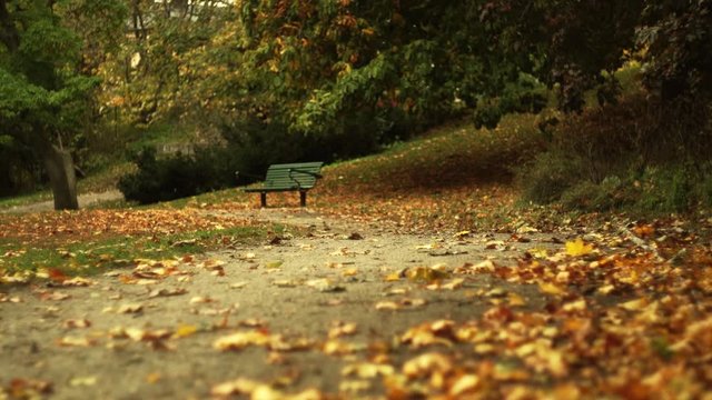 Beautiful autumn weather in a park
