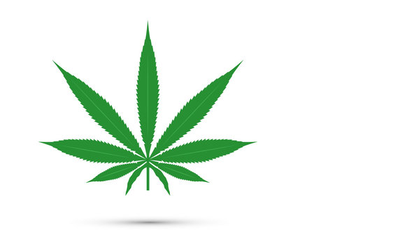icona, foglia, cannabis, farmacologia, cannabis medica