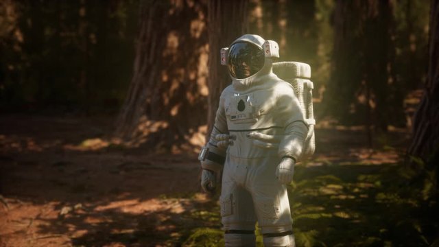 lonely Astronaut in dark forest