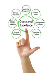 Drivers of Operational Excellence