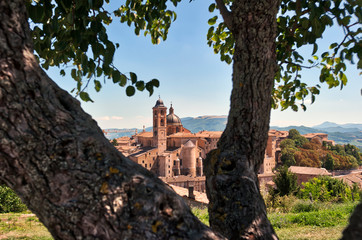 Urbino, city and world heritage site in the Marche region, Palazzo Ducale, Italy.
