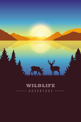 wildlife adventure elk in autumn landscape by the lake at sunset vector illustration EPS10