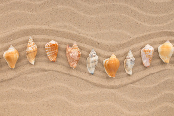 Line made of seashells lying zigzag on the dunes. Top view.