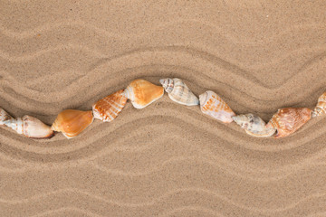 Fototapeta na wymiar Line made of seashells lying zigzag on the dunes. Top view.