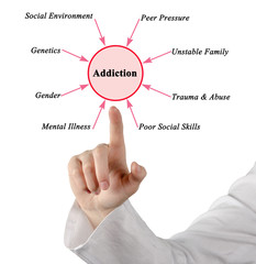 Eight factors leading to addiction