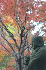 Fototapeta premium 紅葉と大師像